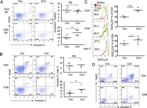 Tsc Deletion Increases Apoptosis Of Mature Cd T Cells In Both Thymus
