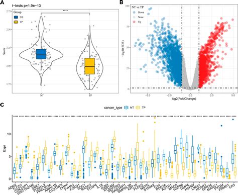 Frontiers Identification Of Molecular Subtypes And A Six Gene Risk