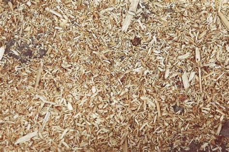 46 Uses for Sawdust on the Homestead • New Life On A Homestead | Homesteading Blog