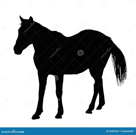 Horse Standing Silhouette ~ Cartoon Vector | CartoonDealer.com #246600425