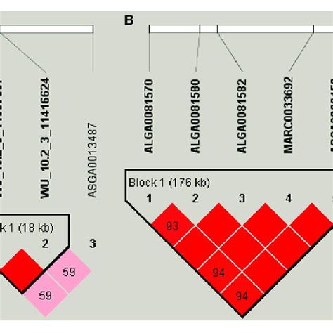 | Haplotype blocks for significant SNPs. (A) Indicate a haplotype block ...