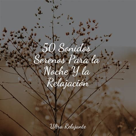 50 Sonidos Serenos Para la Noche Y la Relajación Album by Musica