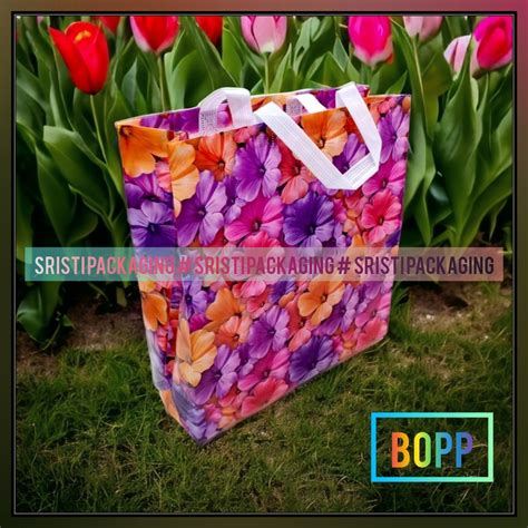 Non Woven BOPP SHOPPING BAG At Rs 13 Piece Bopp Laminated Non Woven