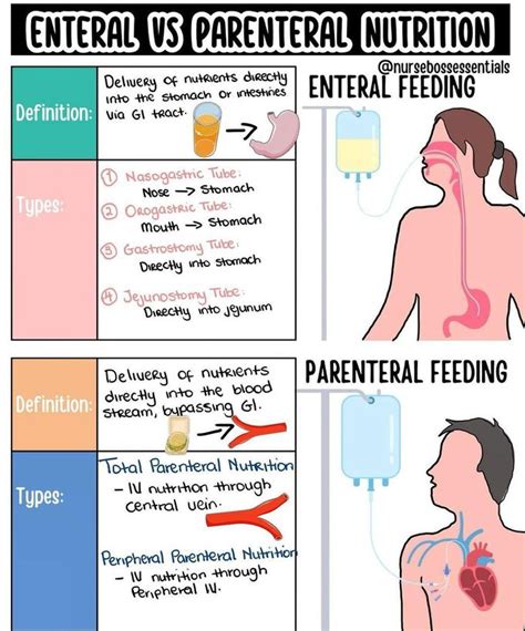 Enteral Vs Parenteral Nutrition MEDizzy