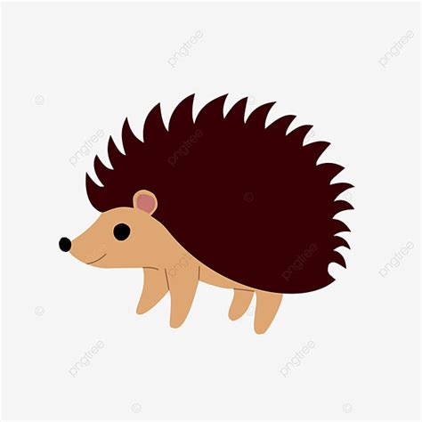 Porcupine Clipart PNG Images, Brown Porcupine Clip Art, Porcupine ...