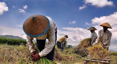 Harga Komoditas Pangan Dikendalikan Perorangan Bongkar