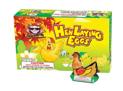 Hen Laying Eggs Kent Fireworks