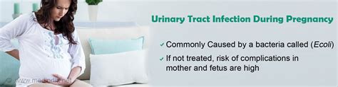 Urinary Tract Infection During Pregnancy Causes Symptoms Diagnosis