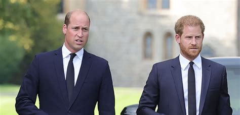 Le Prince Harry Et Le Prince William Toujours En Froid Ce Geste Qui