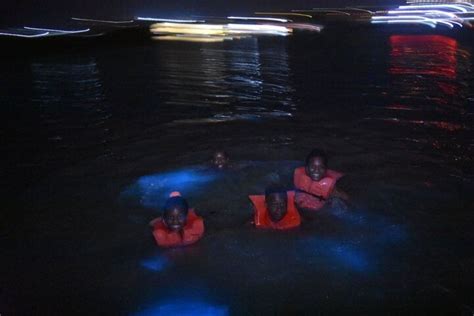 Montego Bay Luminous Lagoon Evening Boat Tour Getyourguide