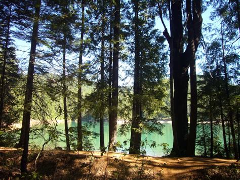 Scotts Flat Lake Camping Weekend - Andi the Tour Guide