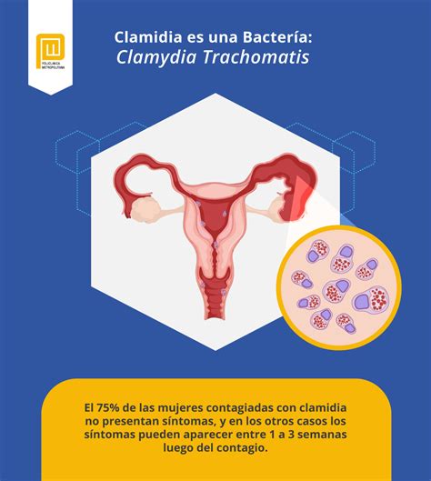 Infeccion Por Clamidia Causas Sintomas Y Tratamiento Dra Gomez Roig Images