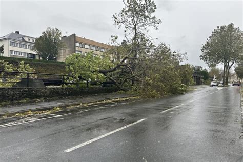 Saint L Arbres Arrach S Toiture D Truite Les D G Ts En Images