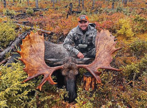 Moose Hunting Hunting Expedition Omm Outfitters