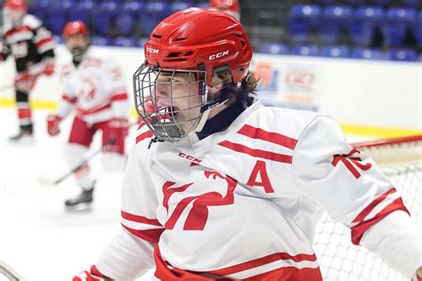 Hockey Masculin Cégep De Lévis