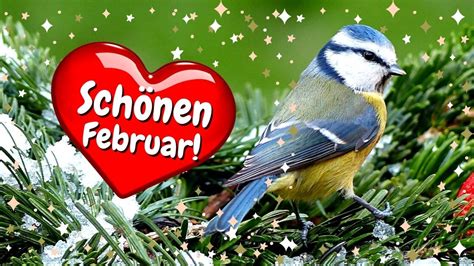 Februar Gr E Hallo Februar Ich W Nsche Dir Einen Sch Nen Februar