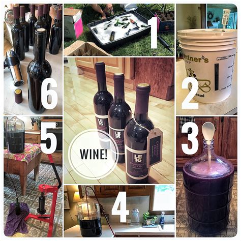 Homemade Wine Making Step By Step Bottle Cleaning With Mustand Kit Do The Primary Fermenting