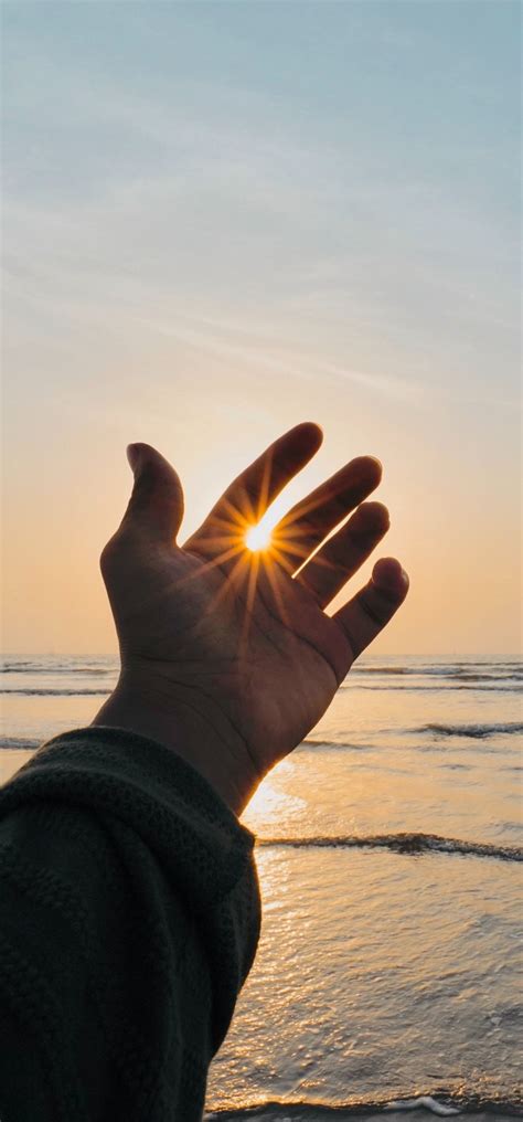 hand wallpapers  wallpaperdog