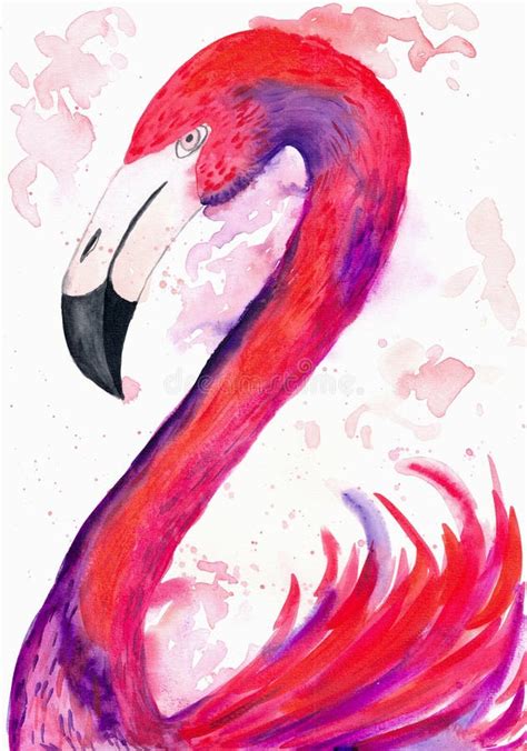 Watercolor Illustration Red Flamingos Flamingo Portrait Design