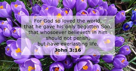 John 316 Bible Verse Kjv