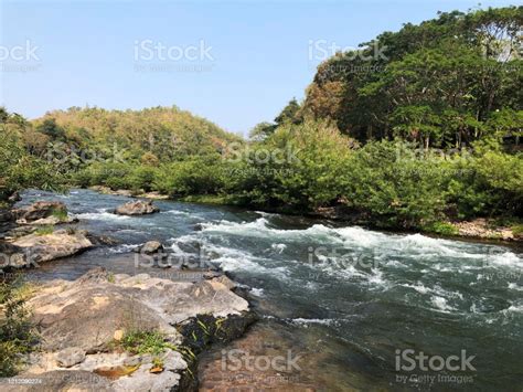 Detail Gambar Pemandangan Alam Sungai Koleksi Nomer 45