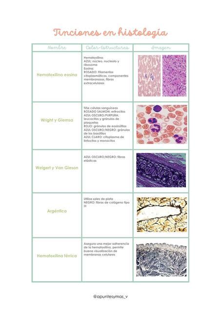 Tinciones en Histología MAYERLI AILIN SANTOS VALLEJOS uDocz