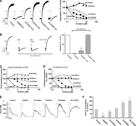 Functional Divergence Of Platelet Protein Kinase C Pkc Isoforms In