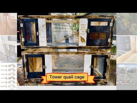 Quail Tower Cage How To Build A Quail Cage At Home Youtube