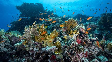 How Saudi Arabia is developing tourism while protecting its precious ...