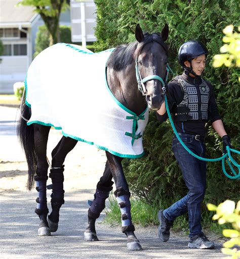 【天皇賞・春】森泰斗騎手、展開面重視で本命はジャスティンパレス スポーツ報知