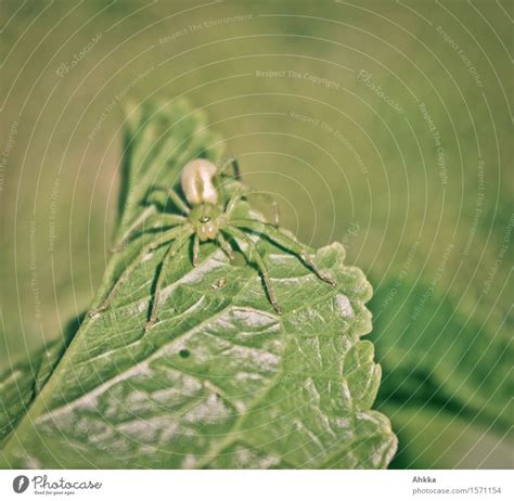 Wasserkreise Natur See Ein Lizenzfreies Stock Foto Von Photocase