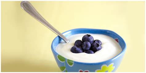 Microbes in Human Welfare - Ecosystem | Biodiversity Conservation 