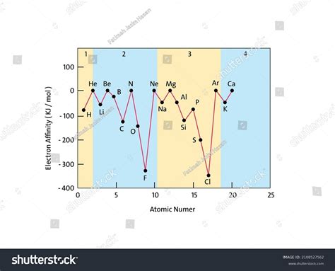 Electron Affinities Versus Atomic Numbers First Stock Vector Royalty