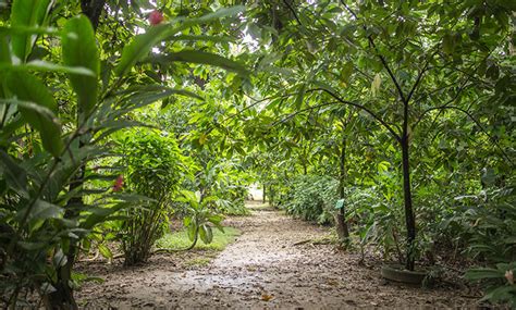 Galería Hacienda la luz