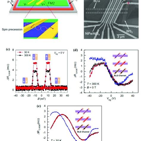 A Schematic Representation Of The Blg Ml Ws Spin Fet B Scanning