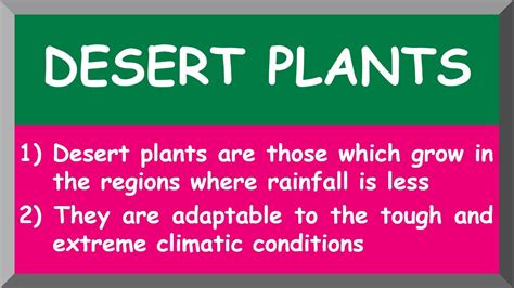 Few Sentences About Desert Plants 10 Lines On Desert Plants In