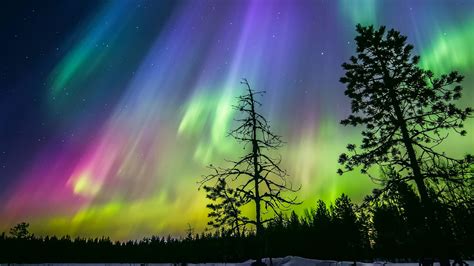 Outdoors Finland Night Aurorae Nature Dark Sky HD Wallpaper