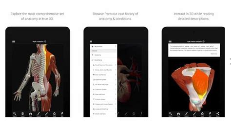 10 Best Human Anatomy Apps For Android In 2020 Twinfinite