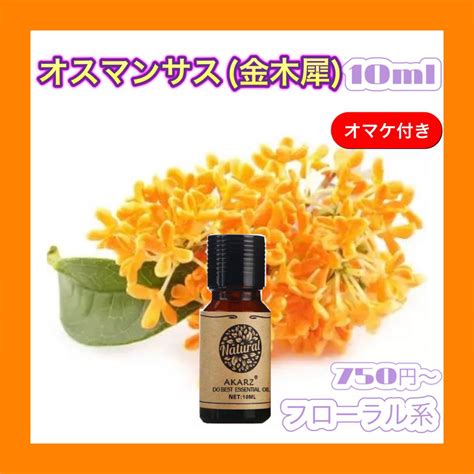 人気新品入荷 オスマンサス 金木犀精油10ml★オマケ付アロマオイル Rcgc Sub Jp