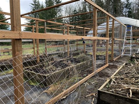 Berry Cage Starting Fencing Wire Yellow Cottage Homestead