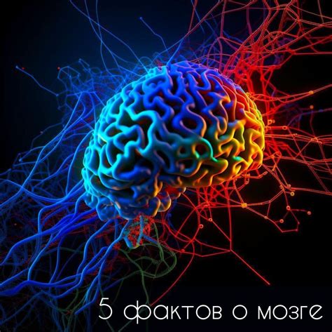 5 полезных фактов о мозге | Проект "СИЛА ЗНАНИЯ" | Дзен