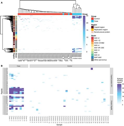 Signatures of AAV-2 immunity are enriched in children with severe acute ...