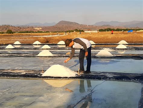 Lampaui Target Produksi Garam Nasional Capai Juta Ton