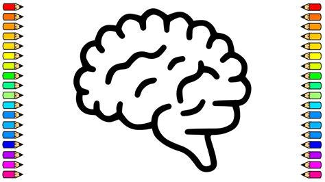 Cómo Dibujar Un Cerebro Dibujamos Cerebro Paso A Paso Dibujos Para