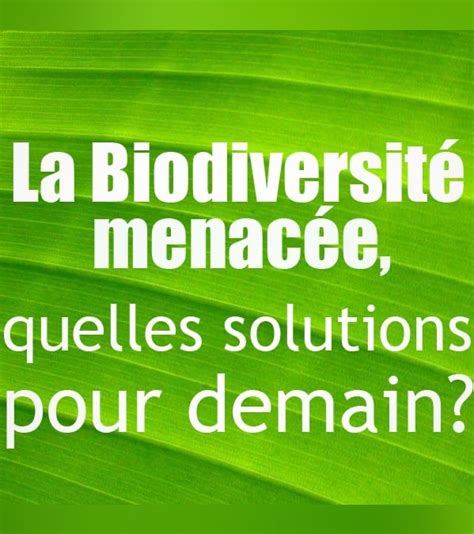 La Biodiversité menacée quelles solutions pour demain Apple TV FR