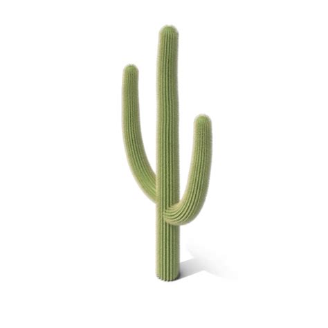 Saguaro Cactus Png Image