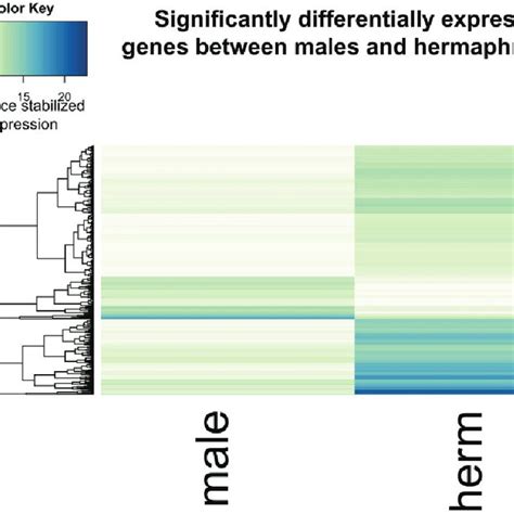 A Heat Map Of Expression For Genes Differentially Expresses Between