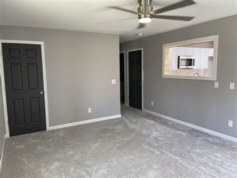 Dark Gray Interior Doors With White Trim For Stylish Living Room