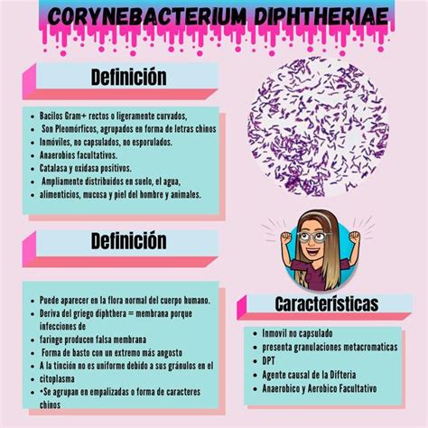 Corynebacterium Dipheriae Andrea Marin Perata Udocz