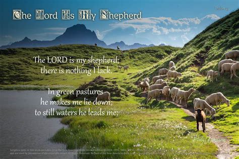 Psalm 23 The Lord Is My Shepherd – HolyWord.com